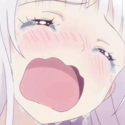 何超莲樱花照 窦骁视角